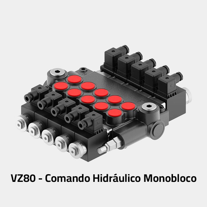 VZ80